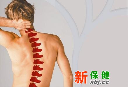脊柱